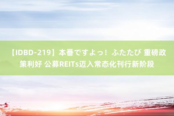 【IDBD-219】本番ですよっ！ふたたび 重磅政策利好 公募REITs迈入常态化刊行新阶段