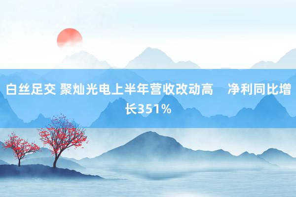 白丝足交 聚灿光电上半年营收改动高    净利同比增长351%