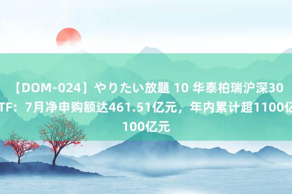 【DOM-024】やりたい放題 10 华泰柏瑞沪深300ETF：7月净申购额达461.51亿元，年内累计超1100亿元